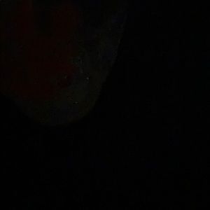 Meet your Posher, Jerlyne